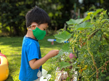 Load image into Gallery viewer, 100% Cotton Masks - Size 4-5 years old - choose your own colors
